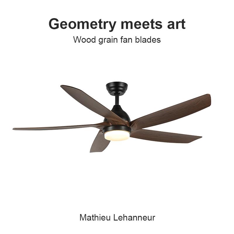 Flower Ones高端美式餐厅吊扇家用客厅静音变频大风力遥控风扇灯