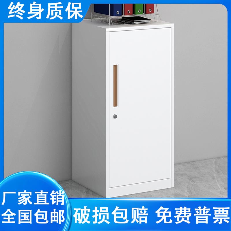 带锁小柜子抽屉落地资料档案柜办公室文件柜矮柜铁皮柜单门储物柜