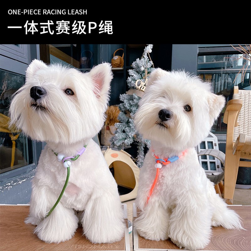 p绳小型犬狗狗牵引绳防爆冲赛级中大型犬训犬犬绳p链小幼犬遛狗绳