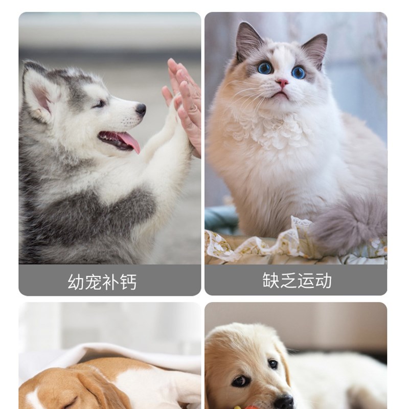 牛叔家狗狗钙片乳酸钙健骨补钙猫咪幼犬泰迪法斗金毛柯基宠物营养