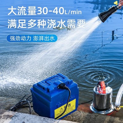 潜水泵充电式水泵家用抽水浇菜12v24v大功率花园便携式户外抽水泵