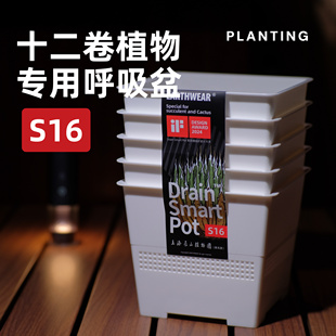 S16呼吸盆十二卷花盆块根盆多肉植物玉露龙舌兰热植专用创意花盆
