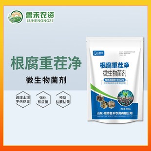 沃利丰根腐重茬净枯草芽孢杆菌土壤消毒枯萎抗重茬微生物菌剂