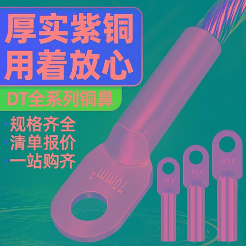 镀锡堵油铜鼻子铜接头接线端子线耳铜线鼻子DT10/16/25/35/50/70