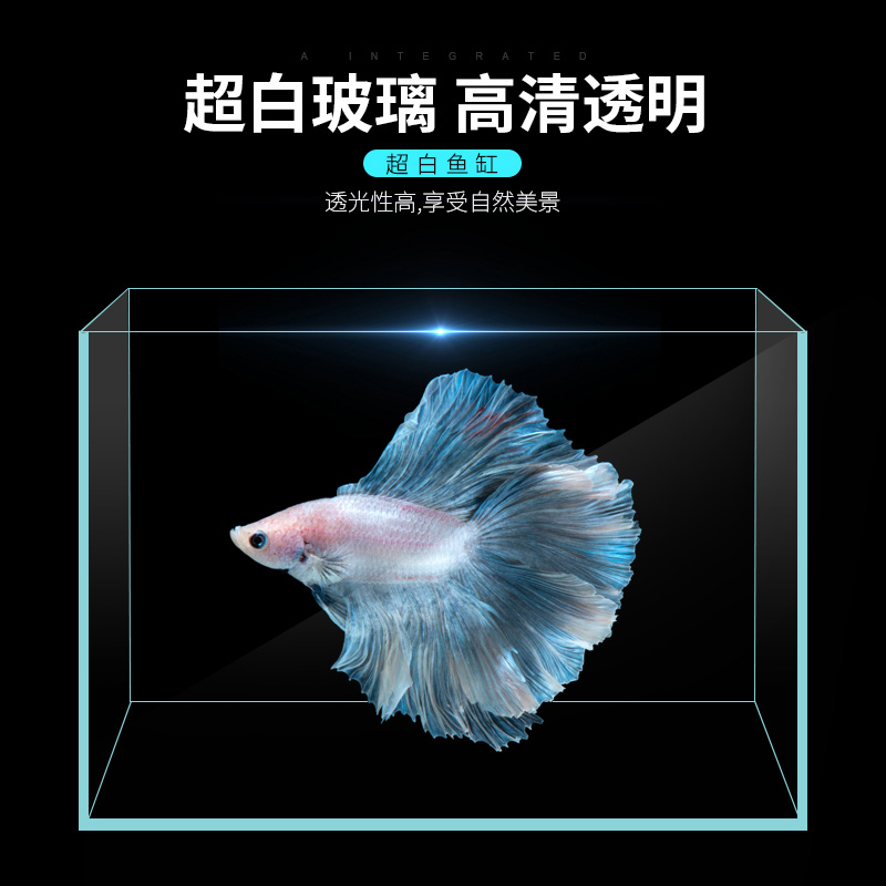 金晶超白玻璃客厅中小型办公桌面创意造景乌龟缸长方形水草金鱼缸