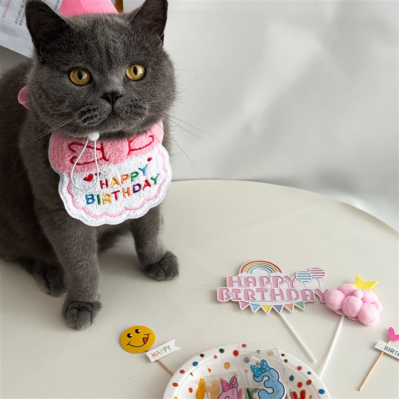 猫咪生日装扮宠物口水巾帽子狗狗围脖拍照装扮宠物蛋糕装饰插件卡