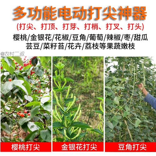 新款电动打尖神器包邮【樱桃葡萄金银花椒】12锂电打顶机豆角打头