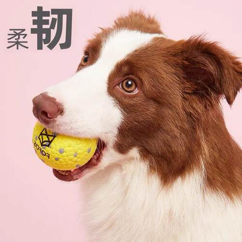 FOFOS两只福狸狗狗玩具球爆米花分子球耐咬磨牙小中大型犬狗用品