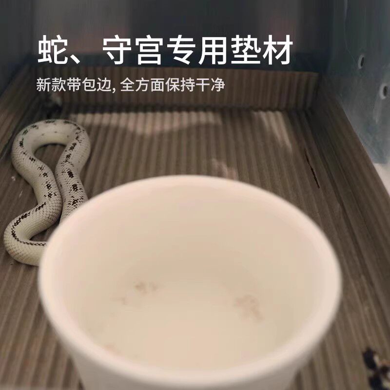 爬宠加厚瓦楞纸垫纸包边垫材宠物用品掌上明蛛A4 A5 A6 A3