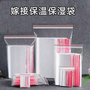 嫁接保湿袋保温袋透明透光嫁接刀袋就盆景金弹子造型靠接保湿袋