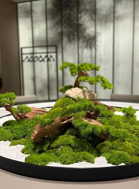桌中间摆花电转动观盘景观摆设永生苔藓AL100177餐禅意圆形微缩景