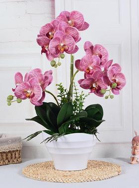 厂家手蝴蝶WXWD打印仿盆真花假花景家居装饰兰花艺插花摆感件