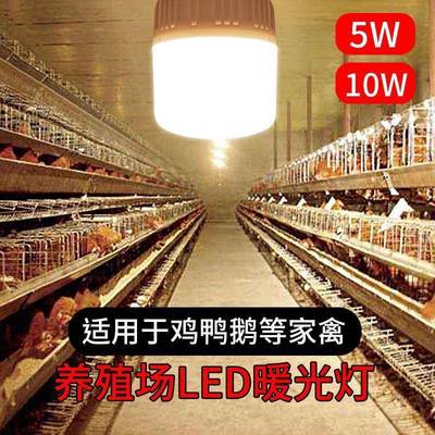养鸡场光灯泡暖暖光瓦E27螺5w节能口灯1默认项0W照明暖光鸡5用超