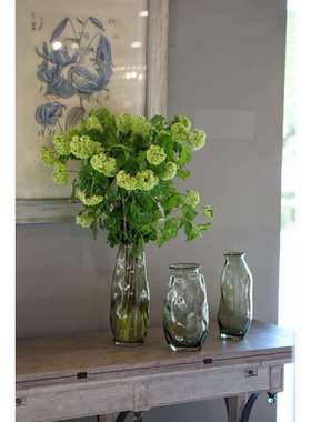 碧轩品现新代简约开口淡绿色不规新200204则瓶玻厅璃花客装饰摆件