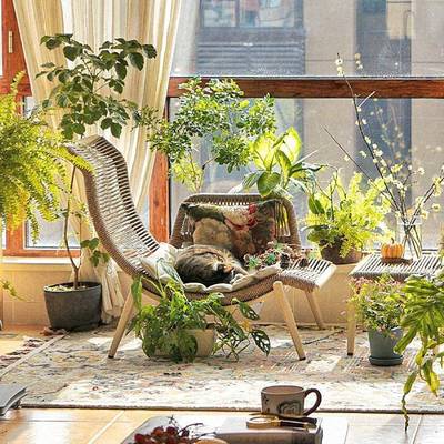 台休闲椅藤椅单人躺椅老阳人编休闲椅沙发625椅靠背椅藤子家用椅