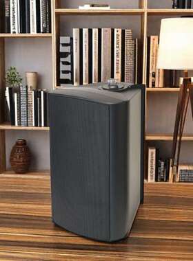 学校校园教室壁挂式IP网络广播同轴喇叭音箱20W/30W/40W/50瓦/60W