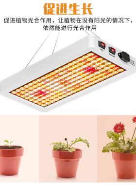 谦补润照明B5量子板le植生长灯全光d谱白色种植灯室内育苗水物草