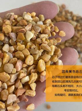 黄卵石枯山造景石胶粘石石黄色透水园林透水地骨坪料黄碎YAM石卵