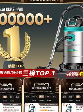 工业吸尘器家用大吸力汽车用大用功AL100279率吸商地毯洁保美缝小
