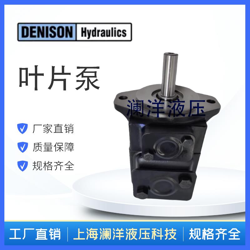 丹尼逊T6CM-B03 T6CM-B05 T6CM-B06 T6CM-B08 T6CM-B31叶片泵