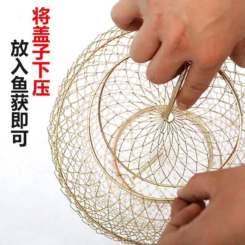 折叠钢丝鱼护鱼篓网兜鱼笼渔网装鱼金属不锈钢铁丝鱼笼编织鱼户