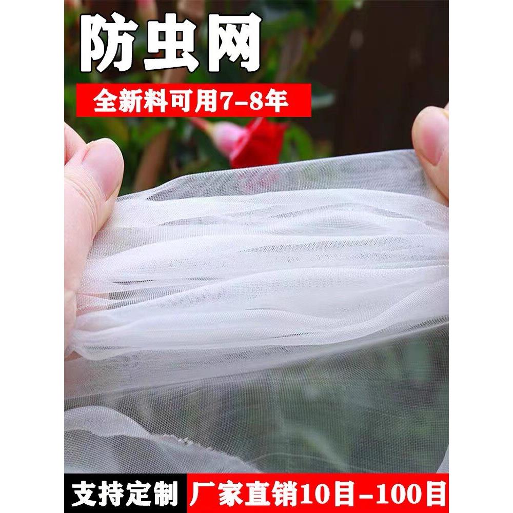 大棚防虫网农用养殖网蔬菜网蝗虫果树果园网防鸟网尼龙网加密加厚