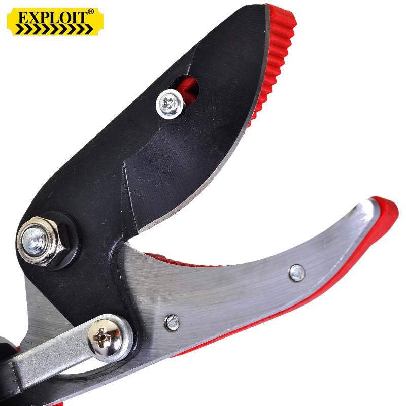 采购产品德国精装水果采摘机，龙眼柿子果枝剪刀，伸缩式高空剪刀