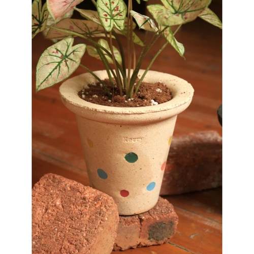 Kerry 彩色波点 景德镇粗陶手工花盆 透气 绿植花盆 ins简约风