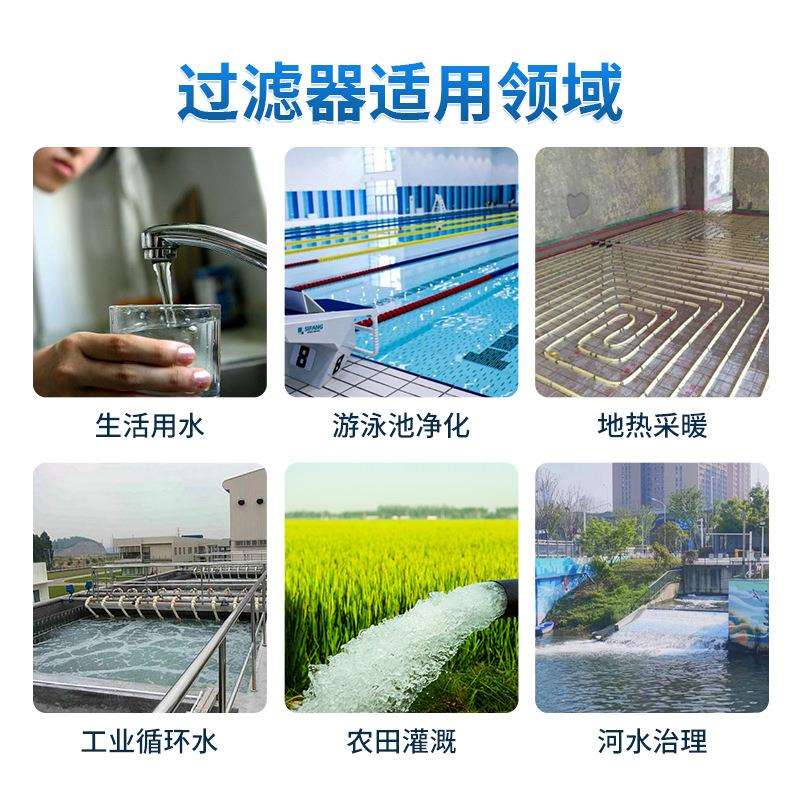 跨境工自反动自清洗过滤器自动排污立式卧式SLB除污器冲洗程全污