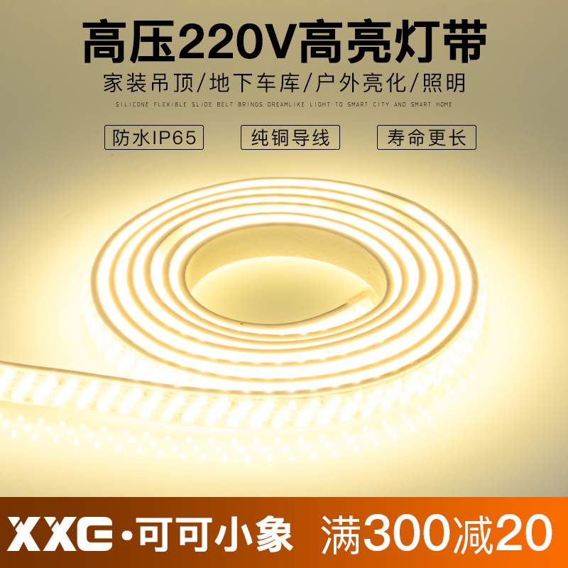 灯带led灯带客厅家用超亮光带七彩变色灯条户外防水180珠线灯220v