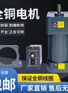 P5IKG齿轮减速电机微型调速动马达交流220V流水线6-120-2O50-400