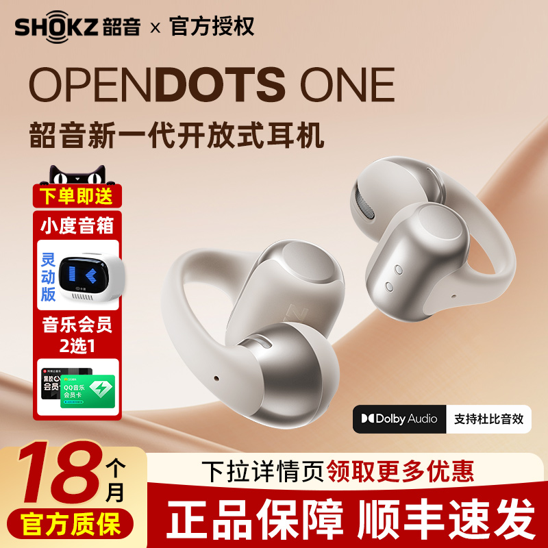 Shokz韶音E310耳夹式蓝牙耳机