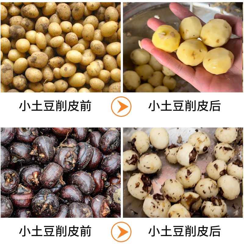 电动马蹄削皮机马蹄机马蹄荸荠去皮机器商用百香果小土豆剥皮机