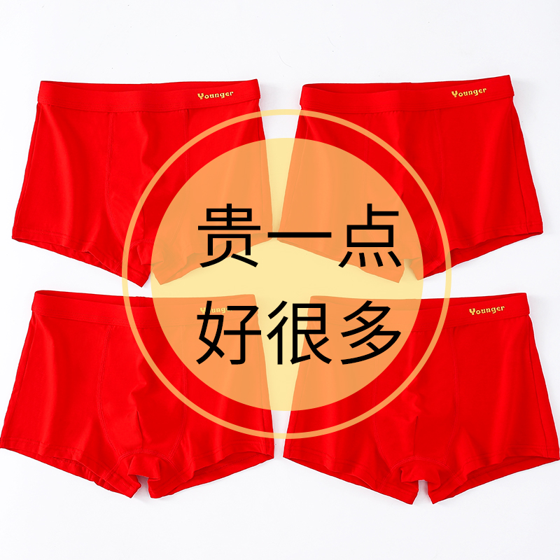马年本命年男童内裤红色四角裤