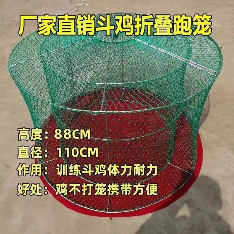 斗鸡双层折叠跑笼斗鸡笼子斗鸡折叠跑笼斗鸡训练组装跑笼斗鸡罩笼
