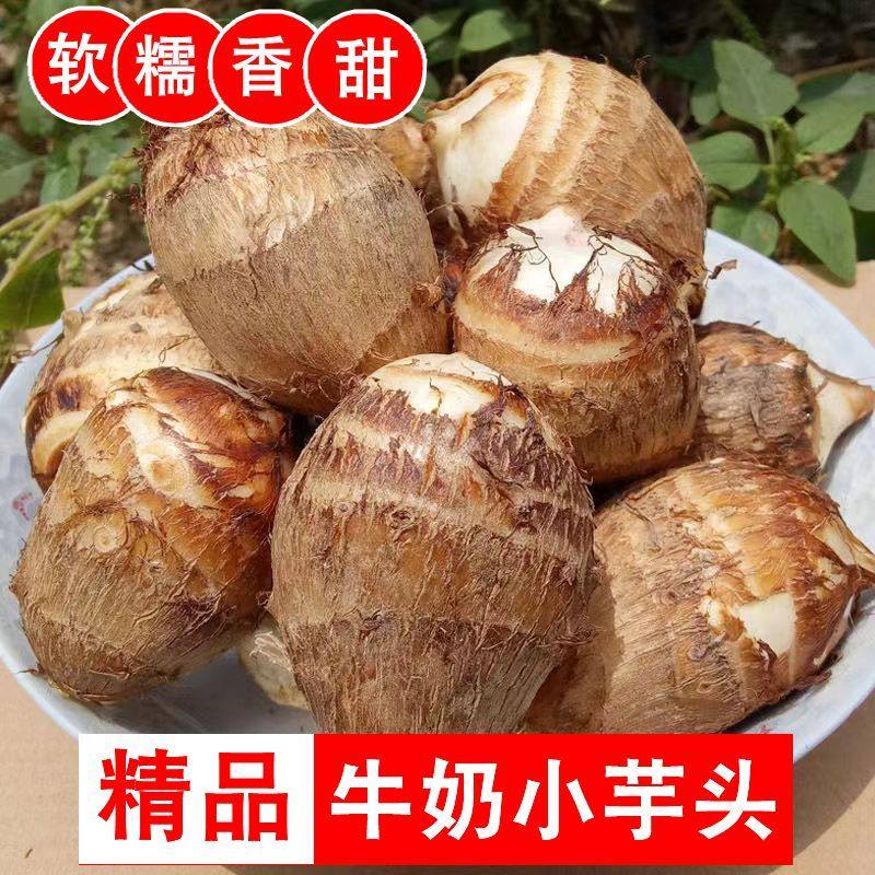 高山新鲜芋头牛奶批发香芋现挖软粉芋艿当季应季蔬菜包邮糯包浙江