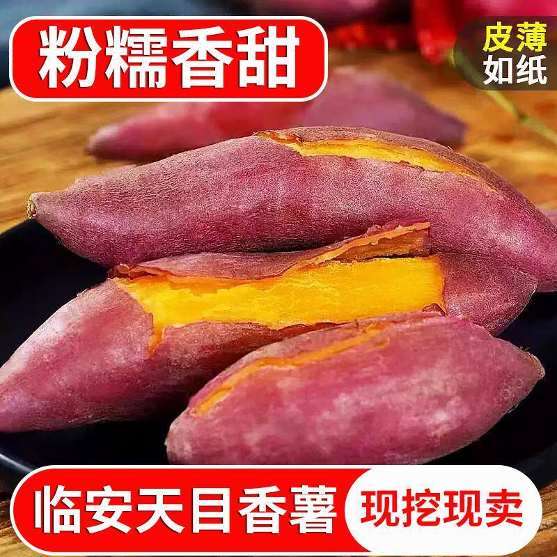正宗临安小香薯新鲜红薯板栗番薯手指地瓜蔬菜甘薯山芋