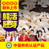 有机胚芽米大米官方旗舰店五大米常稻花香2号东北2025年新米周杰