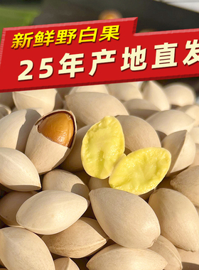 【天猫店】25年新鲜带壳生白果银杏仁银杏果子无漂白泰兴包邮百果
