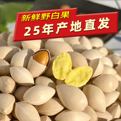 张走走zouzou泰兴银杏果仁新鲜