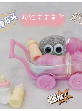 好看的宠物石头可以养的网红小石头送小朋友学生版男孩女孩玩具
