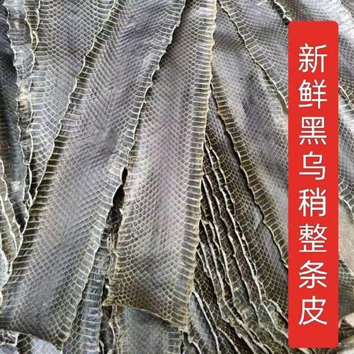乌稍蛇皮 京胡蛇皮整条京胡蛇皮 京胡蒙皮蛇皮乌蛇皮越胡京二胡皮