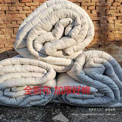 车用特厚15443保温被大棚运保被蔬菜水果输隔防冻热棉被白棉温填