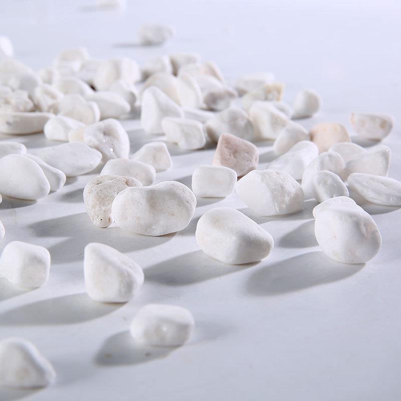 现货卉水园白石子HSKY-BLS庭院花花园林铺路培别墅装饰机制白卵石