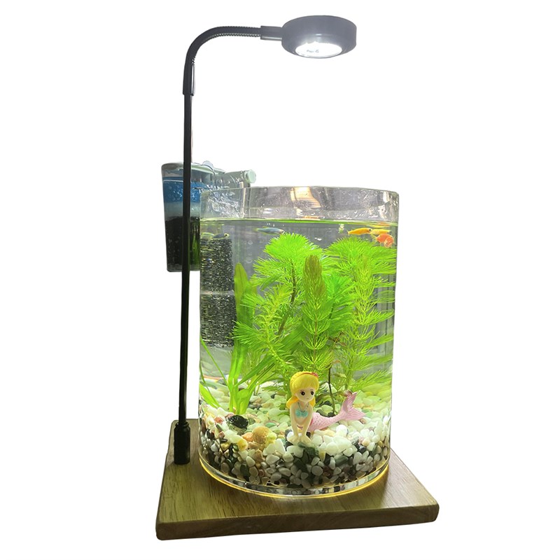 微景观生态瓶免换水自循环小鱼缸小型桌面办公桌水草造景生态缸