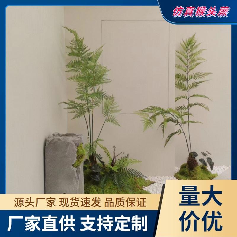 仿真绿植造景景观软装金丝猴蕨禅意日式新中式仿真猴头蕨类盆栽