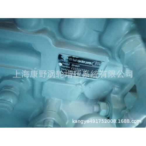适用洛拖的原装喷油泵51N4BH6P6S4L-DL-310100F不带调速器