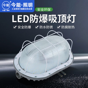 今能led防爆吸顶灯30W椭圆防潮灯防水防虫车间厂房照明壁挂式墙灯