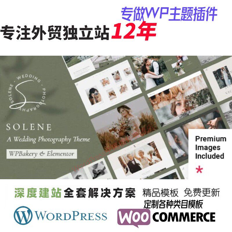 Solene - 婚礼摄影 WordPress 主题外贸婚礼婚纱照摄影网站模板