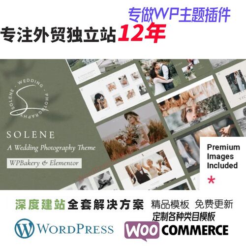 Solene - 婚礼摄影 WordPress 主题外贸婚礼婚纱照摄影网站模板